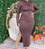“The Zip Me Up Hoodie” Dress