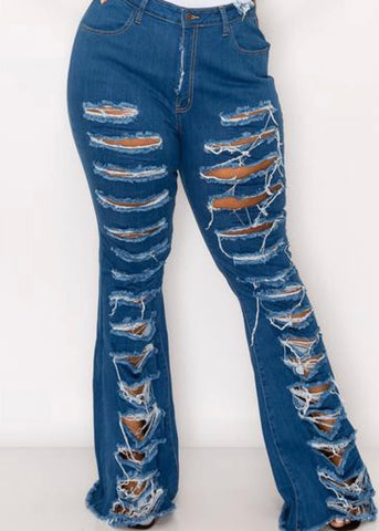 “Curvy Distressed” Jeans